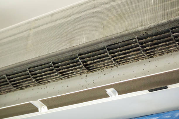 Best Dryer Vent Cleaning Services  in Pantego, TX